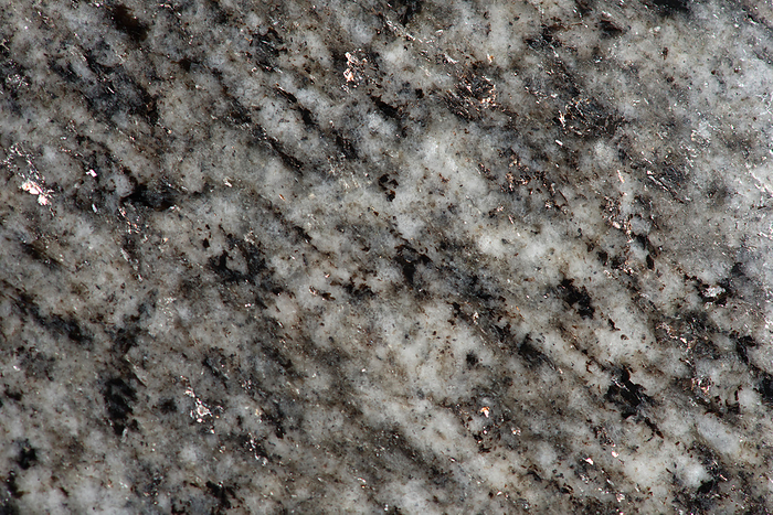 Paragneiss Macrophotograph of paragneiss  biotite quartz plagioclase gneiss  from Hechtsberg, Black Forest, Germany. Gneiss is a common and widely distributed type of metamorphic rock formed by high temperature and high pressure metamorphic processes acting on formations composed of igneous or sedimentary rocks. Paragneiss is gneiss derived from sedimentary rock, such as sandstone . Gneiss nearly always has a banded texture characterised by alternating darker and lighter bands, without a distinct foliation. The darker bands contain more mafic minerals, such as magnesium and iron. The lighter bands contain relatively more felsic minerals, such as silicon, oxygen, aluminium, sodium, and potassium. Magnification: x4 when printed at 15 centimetres wide., by EYE OF SCIENCE SCIENCE PHOTO LIBRARY