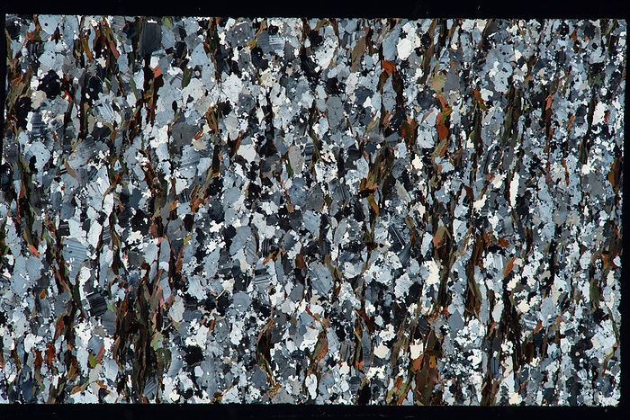 Paragneiss, light micrograph Polarised light micrograph of paragneiss  biotite quartz plagioclase gneiss  from Hechtsberg, Black Forest, Germany. Gneiss is a common and widely distributed type of metamorphic rock formed by high temperature and high pressure metamorphic processes acting on formations composed of igneous or sedimentary rocks. Paragneiss is gneiss derived from sedimentary rock, such as sandstone . Gneiss nearly always has a banded texture characterised by alternating darker and lighter bands, without a distinct foliation. The darker bands contain more mafic minerals, such as magnesium and iron. The lighter bands contain relatively more felsic minerals, such as silicon, oxygen, aluminium, sodium, and potassium. Magnification: x4 when printed at 15 centimetres wide., by EYE OF SCIENCE SCIENCE PHOTO LIBRARY