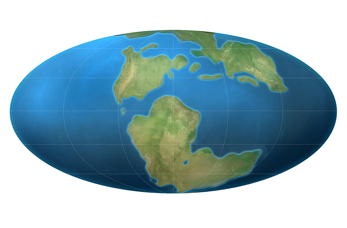 Continents on Earth 152 million years ago, illustration Continents 152 million years ago, illustration. Elliptical projection of the Earth s continents as they appeared during the Jurassic Period  200 to 145 million years ago . The alignment of the continents shown here dates to around 152 million years ago, during the break up of the supercontinent called Pangea. The Pangea supercontinent  consisting of Gondwana and Laurasia  formed around 300 million years ago and began to break up around 200 million years ago to form the continents as we know them today., by CLAUS LUNAU SCIENCE PHOTO LIBRARY