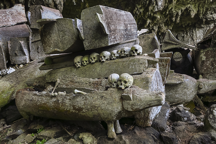 Skulls on coffins in 700yr old burial cave at Parinding, north of Rantepao. Lombok Parinding, Toraja, South Sulawesi, Indonesia. Skulls on coffins in 700 year old burial cave at Parinding, north of Rantepao, Lombok Parinding, Toraja, South Sulawesi, Indonesia, Southeast Asia, Asia, Photo by Robert Francis