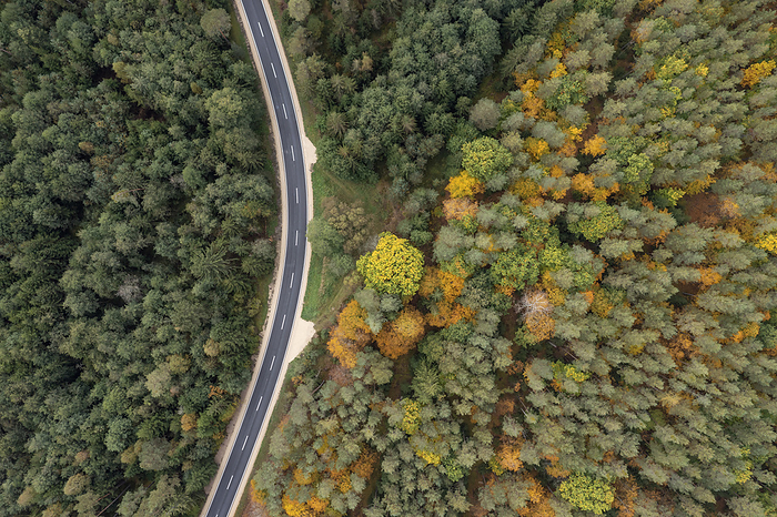 Drone view of asphalt road cutting through green autumn forest