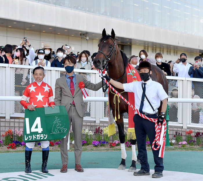 2022 Niigata Grand Prix  G3  Red Garan Winner May 8, 2022 Horse Racing Race 11R Niigata Grand Prize, 1st place, No. 14, Red Garan, Yasumasa Iwata, Niigata Racecourse
