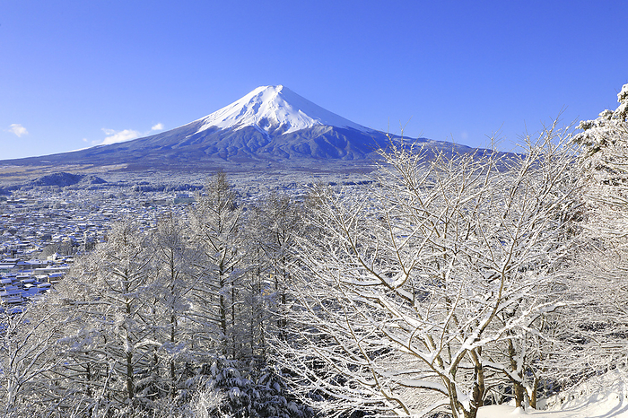 Fuji and the snowy landscape of Niikurayama Sengen Park Yamanashi Pref.