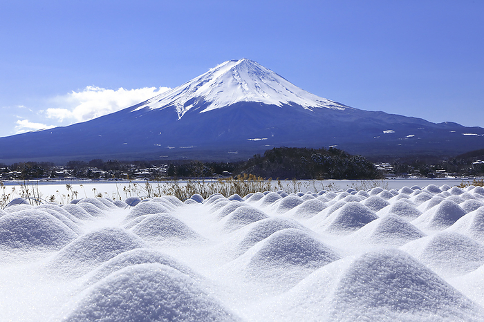 Fuji and the snowy landscape of Oishi Park Yamanashi Pref. Snow piling up in lavender field