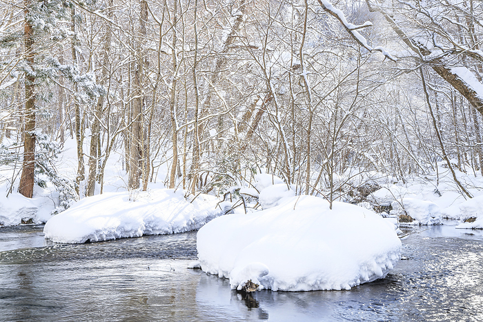 Oirase Keiryu Stream in Winter, Aomori Prefecture