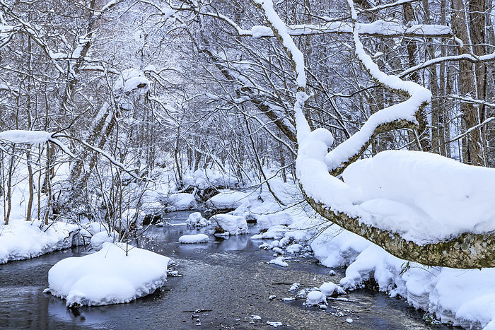 Oirase Keiryu Stream in Winter, Aomori Prefecture