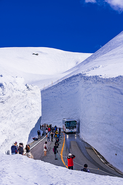 Toyama Snow Valley Tateyama Kurobe Alpine Route