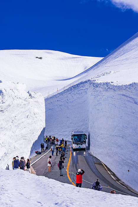Toyama Snow Valley Tateyama Kurobe Alpine Route