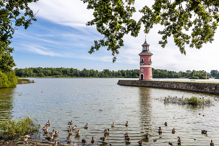 Germany, Saxony, Moritzburg, Flock of ducks swimming near lakeshore with lighthouse in background