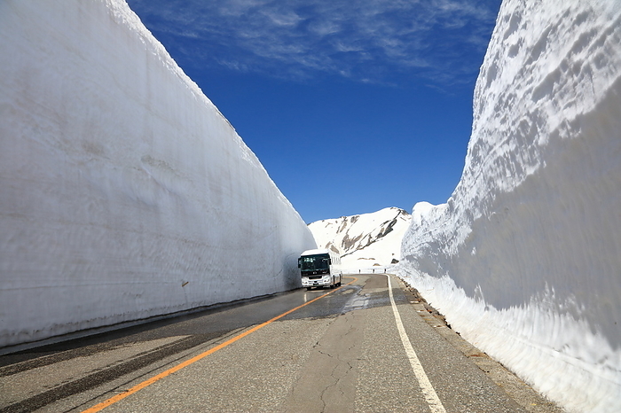 Tateyama Kurobe Alpine Route, Snow Valley