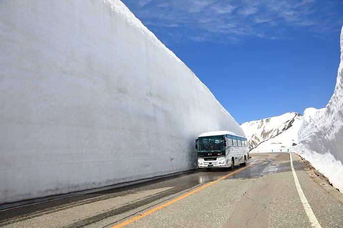 Tateyama Kurobe Alpine Route, Snow Valley