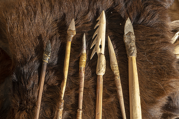 Prehistoric arrows Prehistoric arrows., by PHILIPPE PSAILA SCIENCE PHOTO LIBRARY