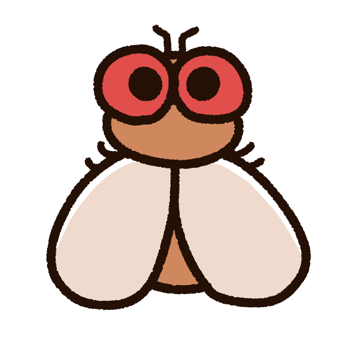 Cute Drosophila character