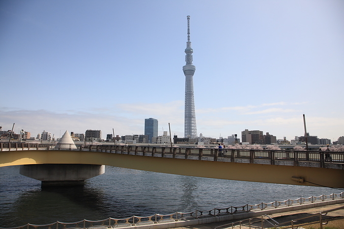 Sumida River Tokyo Sky Tree