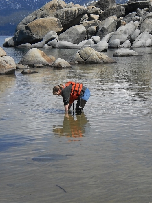 USGS worker collecting water samples at Sand Harbor, Lake Tahoe ca. 2010 USGS worker collecting water samples at Sand Harbor, Lake Tahoe ca. 2010