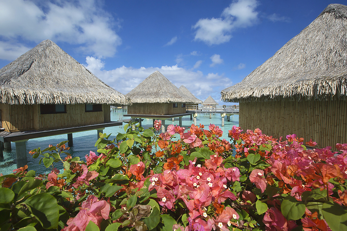 Overwater bungalows in the lagoon of Bora Bora, French Polynesia at the InterContinental Le Moana Bora Bora Hotel; Bora Bora, French Polynesia, Photo by Ron Dahlquist / Design Pics