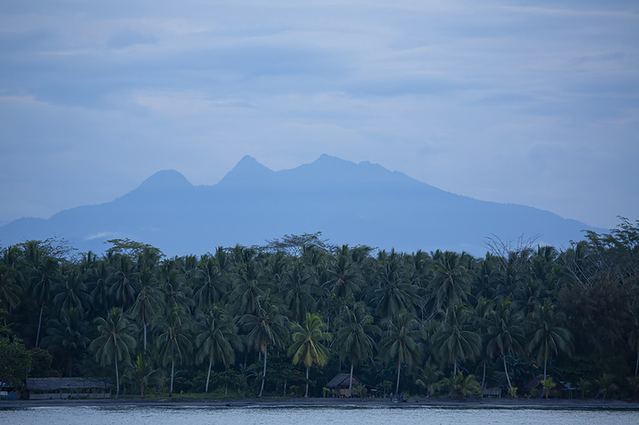 Jungle and shoreline village among coconut palms (Cocos nucifera) with silhouetted mountains in the distance on the coast of Morobe Province; Morobe Province, Papua New Guinea, Photo by Chris Caldicott / Design Pics