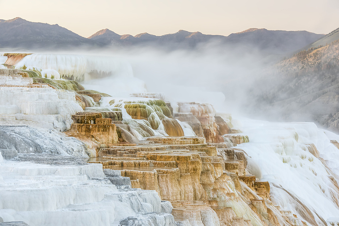 Mineral deposits and steam vapors of Canary Spring at the Mammoth Hot Springs in Yellowstone Natural Park; Wyoming, United States of America, Photo by Tom Murphy / Design Pics