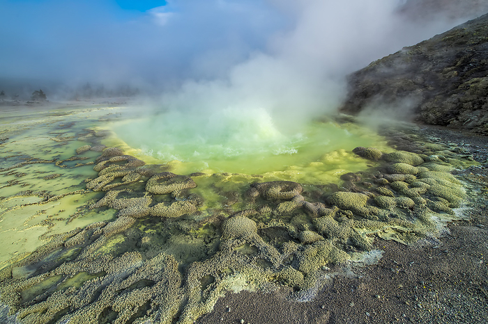 Crater Hills Geyser (Sulphur Sring) with its heated water pool and high content of sulphur creating steamy vapors with green and yellow thermal runoff channels and sinter extensions in the Hayden Valley in Yellowstone National Park; Wyoming, United States of America, Photo by Tom Murphy / Design Pics