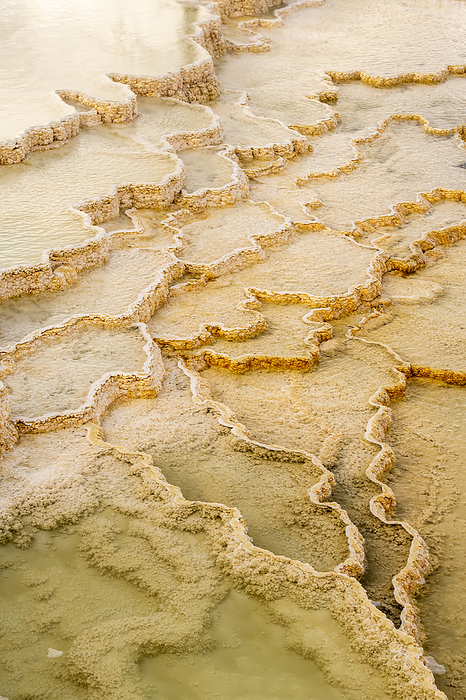 Thermal runoff channels with terraced mineral deposits formations at Mound Terrace in Mammoth Hot Springs; Yellowstone National Park, United States of America, Photo by Tom Murphy / Design Pics