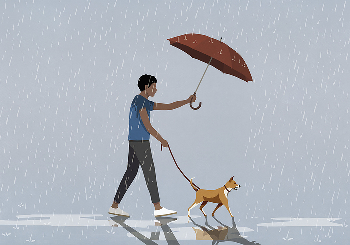 Man holding umbrella over dog on leash walking in rain