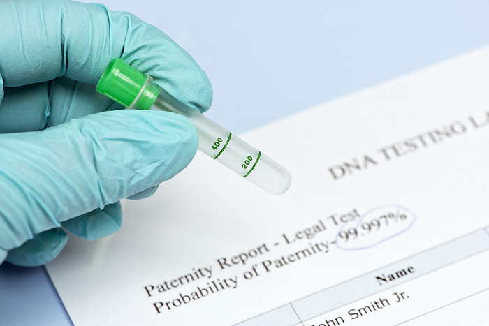 Paternity test Lab technician holding culture tube with DNA  deoxyribonucleic acid  testing lab report., by SHERRY YATES YOUNG SCIENCE PHOTO LIBRARY