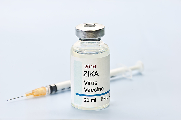 Zika virus vaccine Conceptual Zika virus vaccine., by SHERRY YATES YOUNG SCIENCE PHOTO LIBRARY