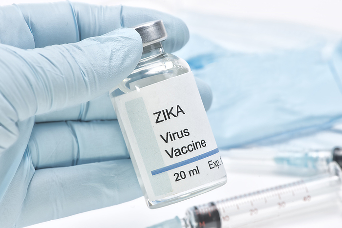 Zika virus vaccine Conceptual Zika virus vaccine held by healthcare worker gloved hand., by SHERRY YATES YOUNG SCIENCE PHOTO LIBRARY