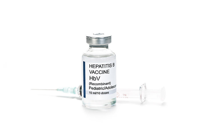Hepatitis B vaccine vial Hepatitis B  HBV  vaccine vial with syringe., by SHERRY YATES YOUNG SCIENCE PHOTO LIBRARY