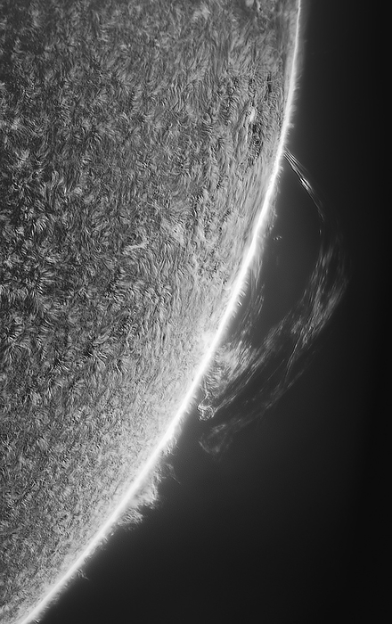 Large solar prominence Large solar prominence around the sun s limb captured at 12:24 UT on the 19th of October 2021. Prominences are dense clouds of plasma, or ionised gas, in the Sun s outer layer, the corona. Upon erupting, the flares become part of the solar wind. They may be associated with strong magnetic activity inside the Sun, and some flares are powerful enough that, on reaching Earth, they can disrupt telecommunications and satellite systems. Solar flares can extend hundreds of thousands of kilometres into space., by MIGUEL CLARO SCIENCE PHOTO LIBRARY