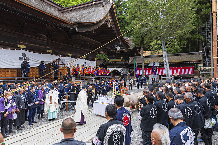 Nagano Oobashira Festival