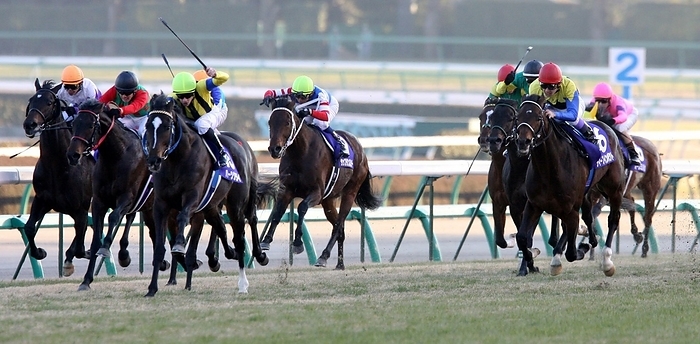 2005 Arima Kinen  G1  The 50th Arima Kinen  G  , 5th Nakayama Horse Race, 8th, 9th R. Hertz Cry  third from left  wins the Arima Kinen by a half length over Deep Impact  right , who was chasing the race. Hearts Cry  third from left  responded to jockey C. Lemerre s whip and won the Arimakinen by half a length over Deep Impact  right , who was chasing the race. Deep Impact finished second in the race at Nakayama Racecourse on December 25, 2005.
