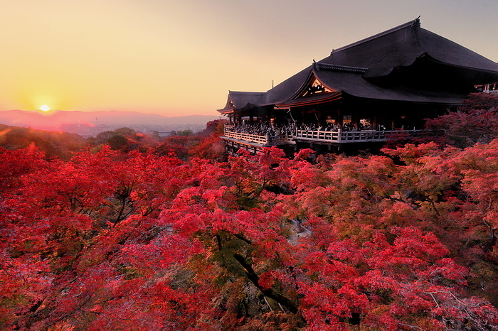 Sunset on the stage of Kiyomizu Temple in autumn leaves Kyoto City, Kyoto Prefecture