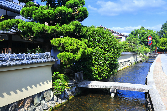 Row of Shakei houses in Kamigamo in early summer, Kyoto City, Kyoto Prefecture