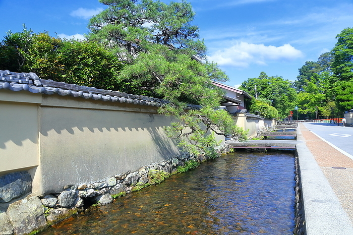 Row of Shakei houses in Kamigamo in early summer, Kyoto City, Kyoto Prefecture
