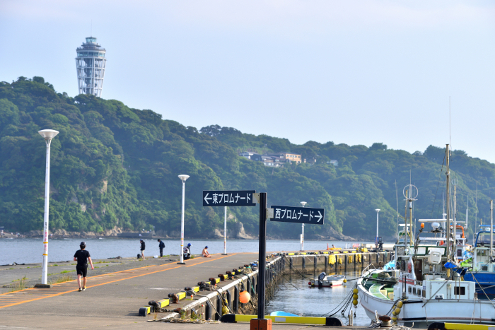 Lighthouse and directional sign seen from Katase Fishing Port