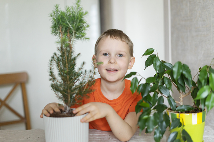 Dad and son are transplanting a Christmas tree into a larger pot at home Smiling boy planting at home