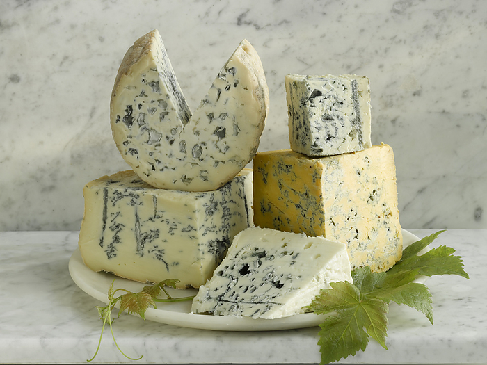 Blue cheese Blue cheeses: Stilton, Gorgonzola, Roquefort, Fourme d Ambert and Shropshire Blue., by MAXIMILIAN STOCK LTD SCIENCE PHOTO LIBRARY