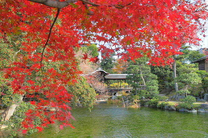 Shoseien Garden in autumn leaves Kyoto City, Kyoto Prefecture