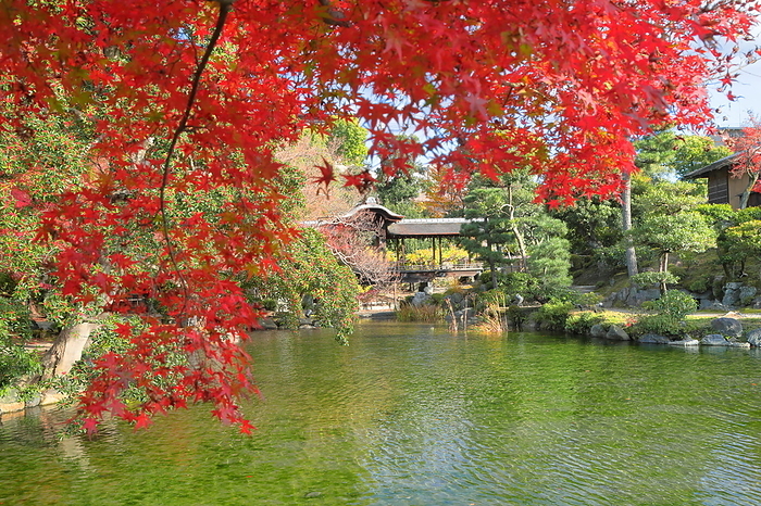 Shoseien Garden in autumn leaves Kyoto City, Kyoto Prefecture
