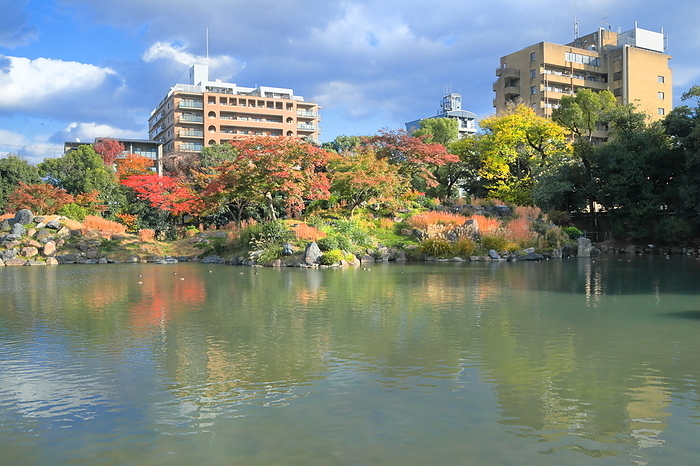Shoseien Garden in Autumn Kyoto City, Kyoto Prefecture