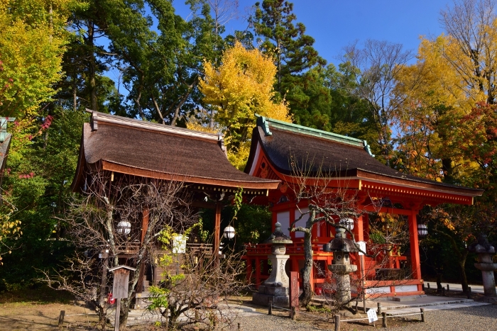 Autumn in Kyoto Ninna-ji Temple