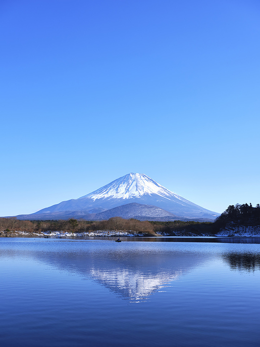 Fuji from Lake Shojiko