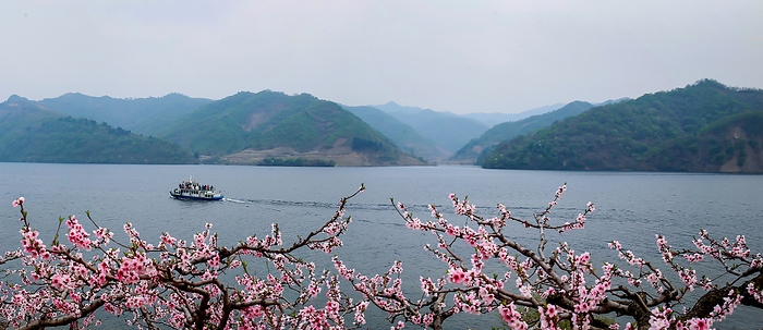 On the Banks of the yalu river peach blossom open,China,Liaoning