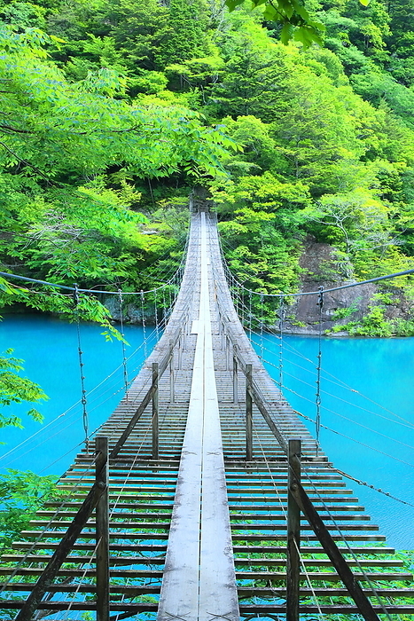 Dream Suspension Bridge in Sunmatakyo Valley Kawane-honmachi, Shizuoka Prefecture