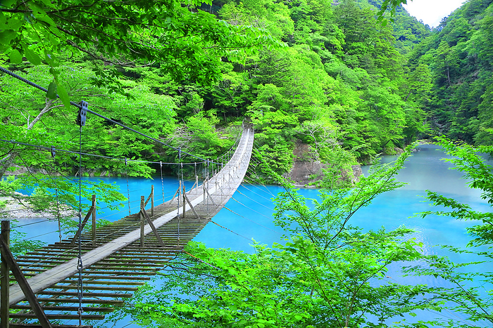Dream Suspension Bridge in Sunmatakyo Valley Kawane-honmachi, Shizuoka Prefecture