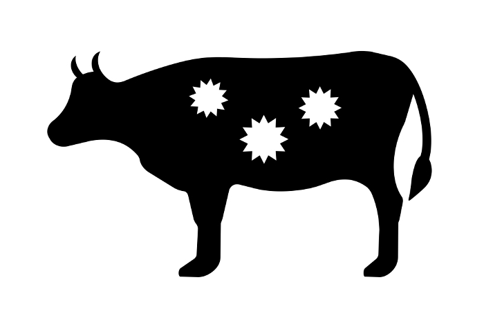 Virus-infected cattle