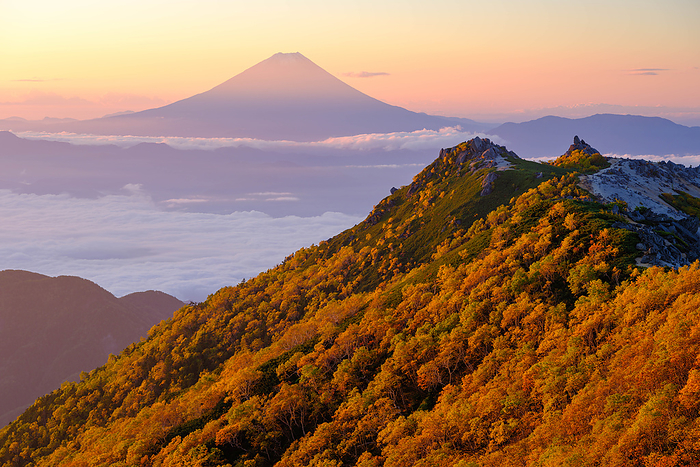 Mt. Fuji from Mt. Kannon in autumn foliage, Yamanashi Prefecture