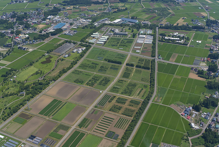 Iwate Agricultural Experiment Center Aerial view