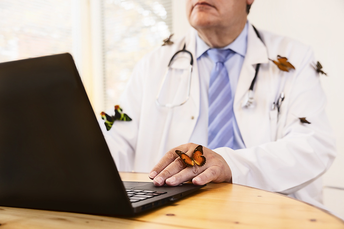 Butterflies on senior doctor using laptop at desk
